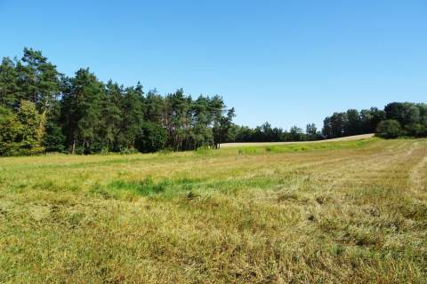 Działka z lasem - 4,83ha - obszar Natura 2000 