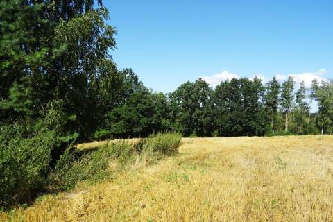Działka z lasem - 4,83ha - obszar Natura 2000 