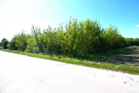 Działka 8500 m2, Łukowa, gmina Chęciny