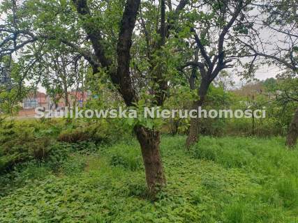 Dom na sprzedaż, 179,3 m2, Ząbkowice Śląskie
