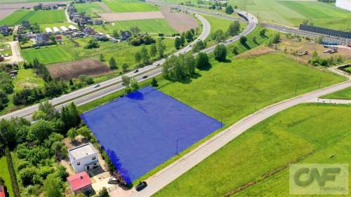 Tychy Wygorzele, Atrakcyjna Cena 