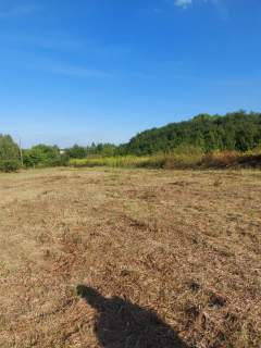 Działka budowlana na sprzedaż, 2330 m2, Sarnów