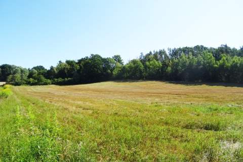Działka z lasem - 4,83ha - obszar Natura 2000 