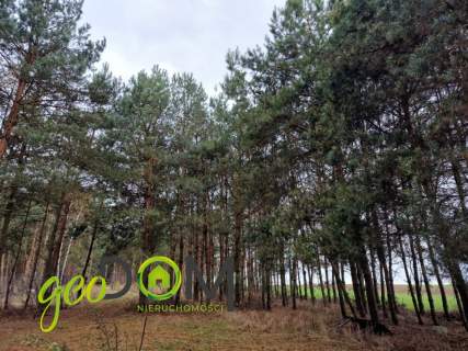 Działka Budowlana w Janowie Podlaskim