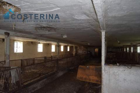 Wielki Podleś, murowana obora, działka 2400 m2