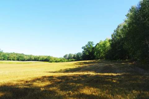 Działka z lasem - 4,83ha - obszar Natura 2000 