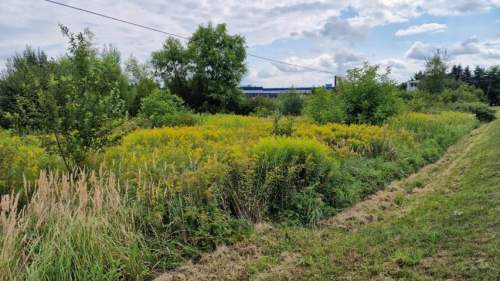 Działka budowlana na sprzedaż, 1571 m2, Grodków