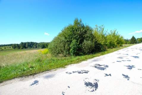 Działka 8500 m2, Łukowa, gmina Chęciny