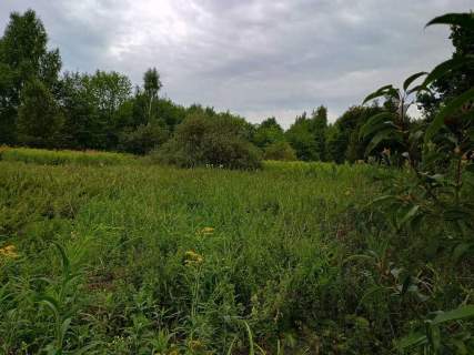 Działka rekreacyjna, rolna w gminie Leżajsk