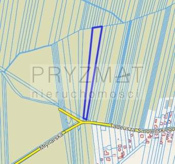 Działka inwestycyjna na sprzedaż, 9961 m2, Mińsk Mazowiecki