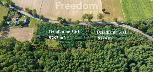 Działka siedliskowa pod lasem