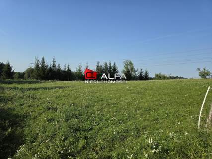 Działka w Bojanicach 