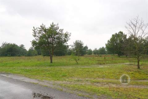 Działka przy drodze asfaltowej - Goszczanowiec
