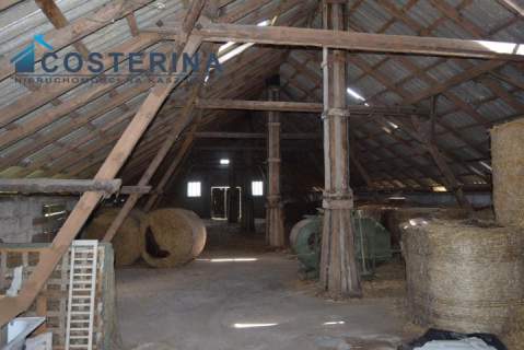 Wielki Podleś, murowana obora, działka 2400 m2