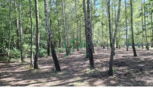 Działka inwestycyjna na sprzedaż, 116142 m2, Sosnowiec