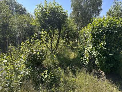 Działka budowlana 2230 m2 Pątnów Legnicki
