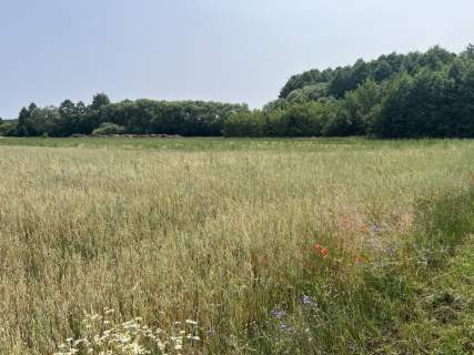 Działka Zawady