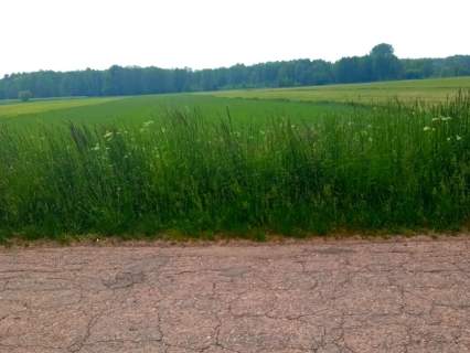 Działka rolna blisko Drohiczyna