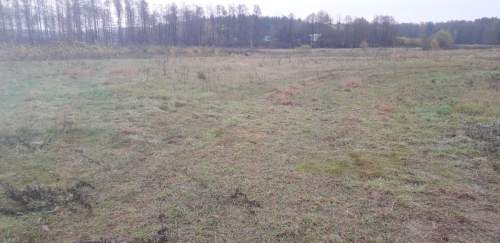 Działka w Zabłudowie