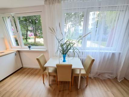 2POKOJE-37M2-ŚWIEŻO PO REMONCIE-CO.MIEJSKIE-BALKON