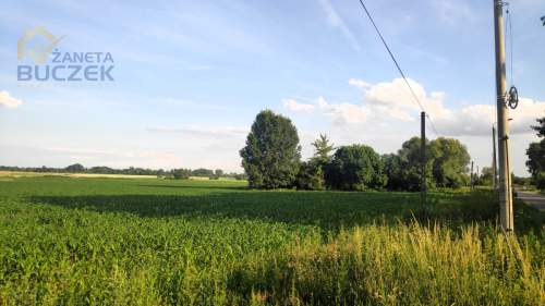 Działka w Kopytowie 34 470 m2 przy DK92