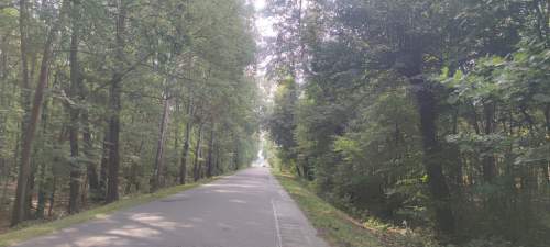 Borzęcin Duży działka rolna, blisko las.