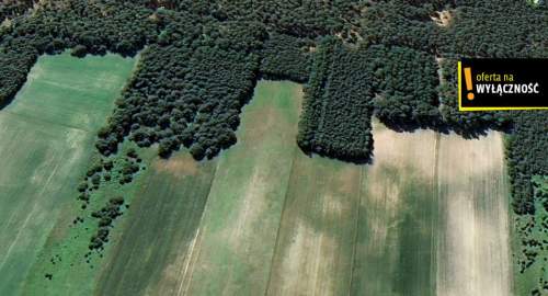 Działka pod agroturystykę w Celinach 3,5 ha