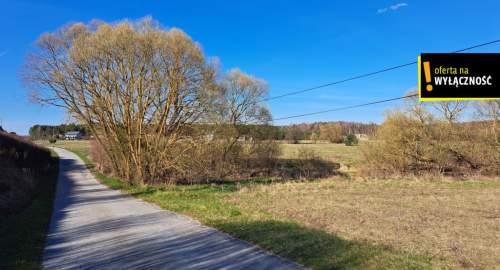 Działka pod zabudowę gmina Małogoszcz 8116 m2