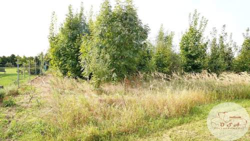 3 działki Witobel 3.562 m 2 km Stęszew blisko S5