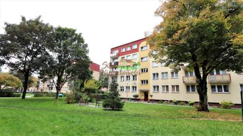 Mieszkanie 3 pokojowe, balkon, os. Hutnik Głogów