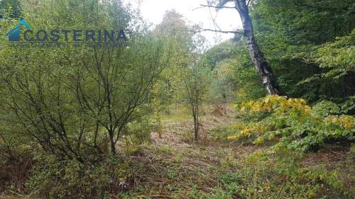 Działka budowlana na sprzedaż, 5000 m2, Gołubie