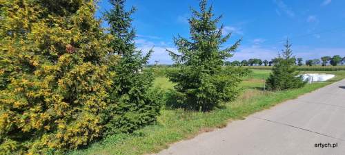 Działka budowlana na sprzedaż, 1249 m2, Lebiedzie