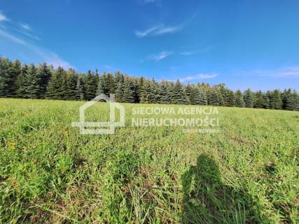 Działka 1,1445ha z widokiem na jezioro MPZP- Łukta