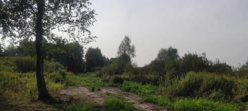 Działka rolna na sprzedaż, 3000 m2, Borzęcin Duży