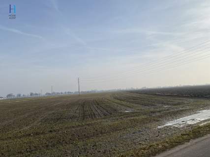 Działka rolna w Uniejowie