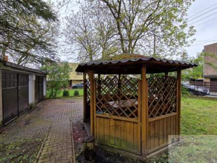 Pszczelnik w pobliżu Pola Golfowego