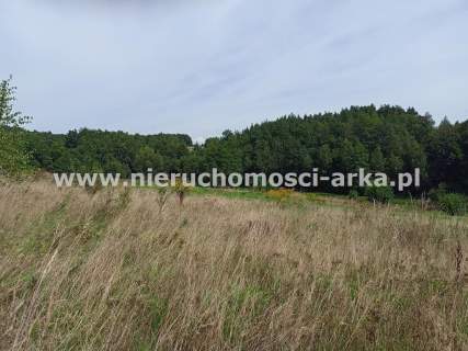 Działka budowlana w gminie Raciechowice