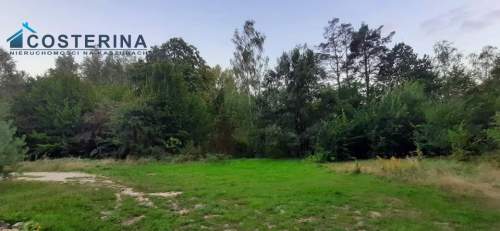 Działka budowlana na sprzedaż, 5000 m2, Gołubie
