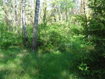 Działka na sprzedaż, 5200 m2, Kwiatkowice-Las