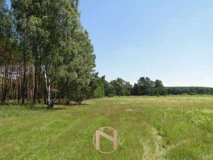 Działka budowlana na sprzedaż, 11068 m2, Łośno