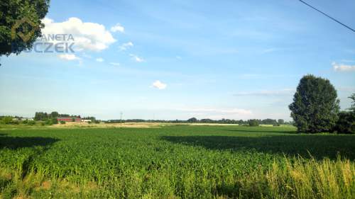 Działka w Kopytowie 34 470 m2 przy DK92