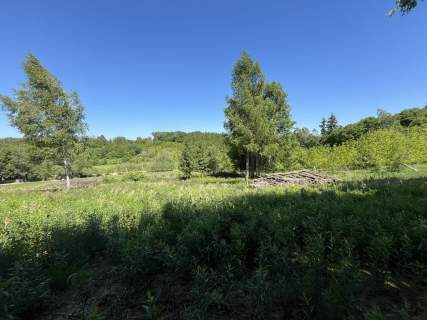 Działka 3580 m2 w Kazimierzu Dolnym 4 km od rynku.