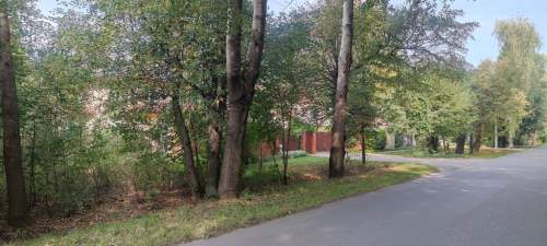 Działka rolna na sprzedaż, 3000 m2, Borzęcin Duży