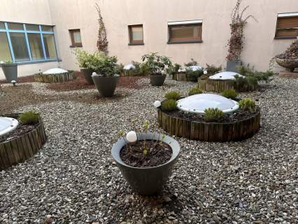 Komfortowy apartament centrum miasta