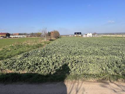 Działka budowlana 18,5 ar Kunice