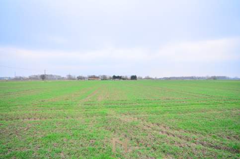 Działka budowlana na sprzedaż, 7968 m2, Gorzów Wielkopolski