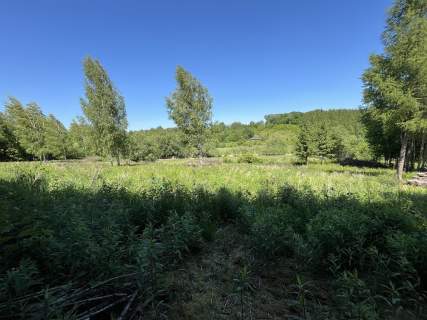 Działka 3580 m2 w Kazimierzu Dolnym 4 km od rynku.