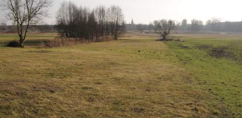 Działka usługowa