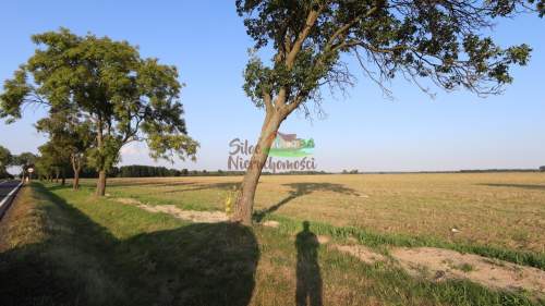 Inwestycja Działka rolno - siedliskowa 5,75ha