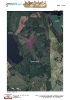 Działka na sprzedaż 5,5 ha gmina Filipów Podlaskie